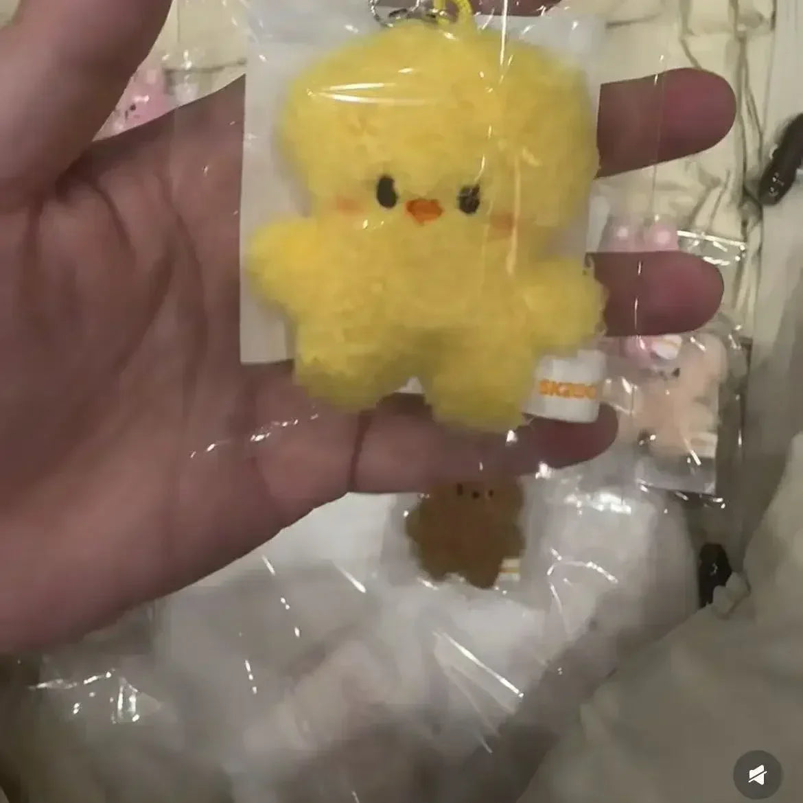 New KPOP Plush Keychain Korean Ide Pendant Toy Keychain Fan Collection Giftsol Plush Cartoon