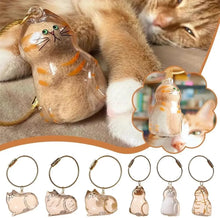 Transparent Cat/Dog Hair Collection Capsule Keychain Kawaii Memorial Pet Cat Dog Hair Capsule for Keychain DIY Pendant Accessory