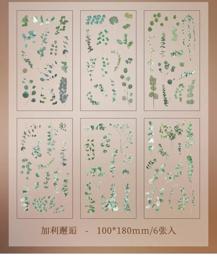 JIANQI 6pcs/pack Transparent PET Stickers Scrapbooking Materials DIY Junk Journal Collage Floral Leaves Plants Decor Stickers