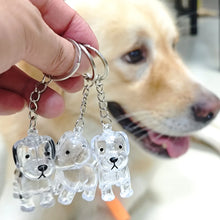 Transparent Dog Hair Storage Pendant Dog Hair Collector Keychain Pet Hair Memorial Bottle for Pet Lovers DIY Memorial Keychain