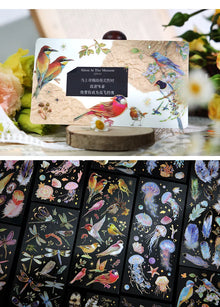 3pcs Kawaii Feather Dragonfly Bird Jellyfish Decorative Stickers Pack Scrapbooking Material Label Diary Phone Journal Planner