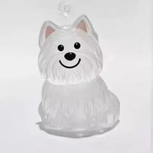 Transparent Dog Hair Storage Pendant Dog Hair Collector Keychain Pet Hair Memorial Bottle for Pet Lovers DIY Memorial Keychain