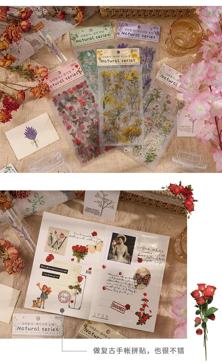 JIANQI 6pcs/pack Transparent PET Stickers Scrapbooking Materials DIY Junk Journal Collage Floral Leaves Plants Decor Stickers