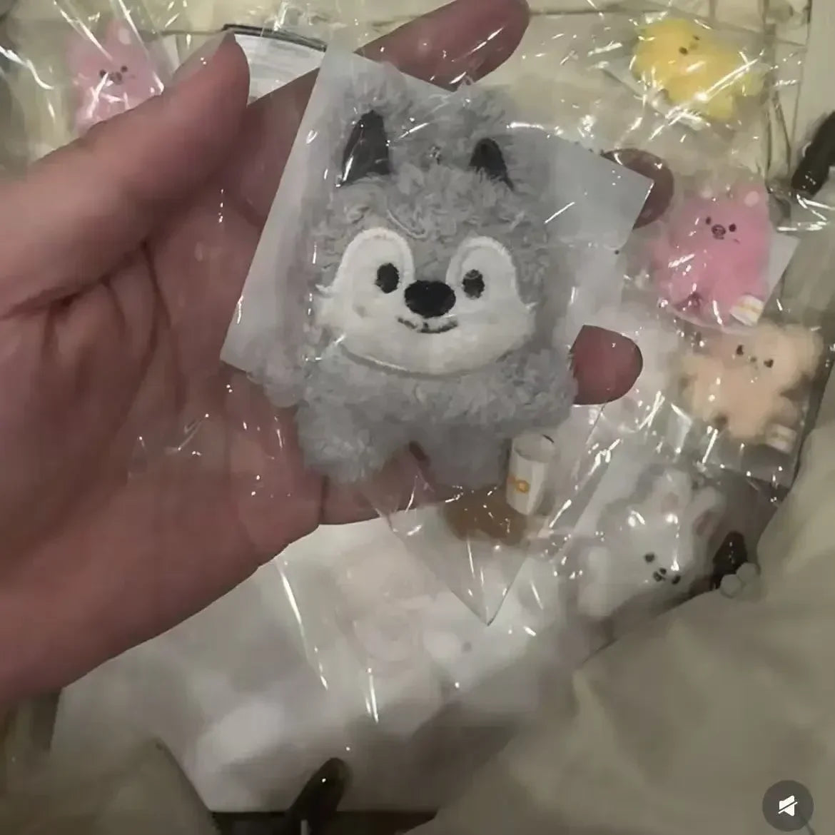 New KPOP Plush Keychain Korean Ide Pendant Toy Keychain Fan Collection Giftsol Plush Cartoon