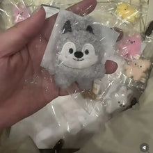 New KPOP Plush Keychain Korean Ide Pendant Toy Keychain Fan Collection Giftsol Plush Cartoon