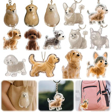 Transparent Dog Hair Storage Pendant Dog Hair Collector Keychain Pet Hair Memorial Bottle for Pet Lovers DIY Memorial Keychain
