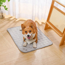 Summer Pet Ice Pad Cool Sleeping Mat Breathable Ice Silk Washable Pet Bed Durable Dog Cat Cushion Pet Supplies for Home Outdoor