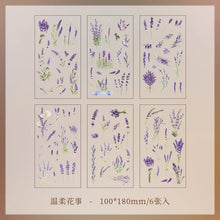JIANQI 6pcs/pack Transparent PET Stickers Scrapbooking Materials DIY Junk Journal Collage Floral Leaves Plants Decor Stickers