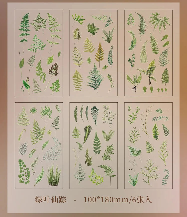 JIANQI 6pcs/pack Transparent PET Stickers Scrapbooking Materials DIY Junk Journal Collage Floral Leaves Plants Decor Stickers