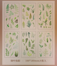 JIANQI 6pcs/pack Transparent PET Stickers Scrapbooking Materials DIY Junk Journal Collage Floral Leaves Plants Decor Stickers