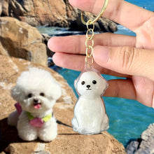 Creative Dog Hair Storage Keychain Transparent Dog\Cat Shape Memorial Pendant Handmade DIY Pet Souvenirs for Pet Lovers Gift