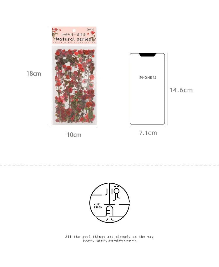JIANQI 6pcs/pack Transparent PET Stickers Scrapbooking Materials DIY Junk Journal Collage Floral Leaves Plants Decor Stickers