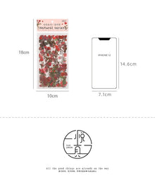 JIANQI 6pcs/pack Transparent PET Stickers Scrapbooking Materials DIY Junk Journal Collage Floral Leaves Plants Decor Stickers