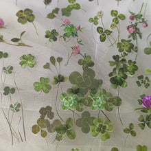 JIANQI 6pcs/pack Transparent PET Stickers Scrapbooking Materials DIY Junk Journal Collage Floral Leaves Plants Decor Stickers