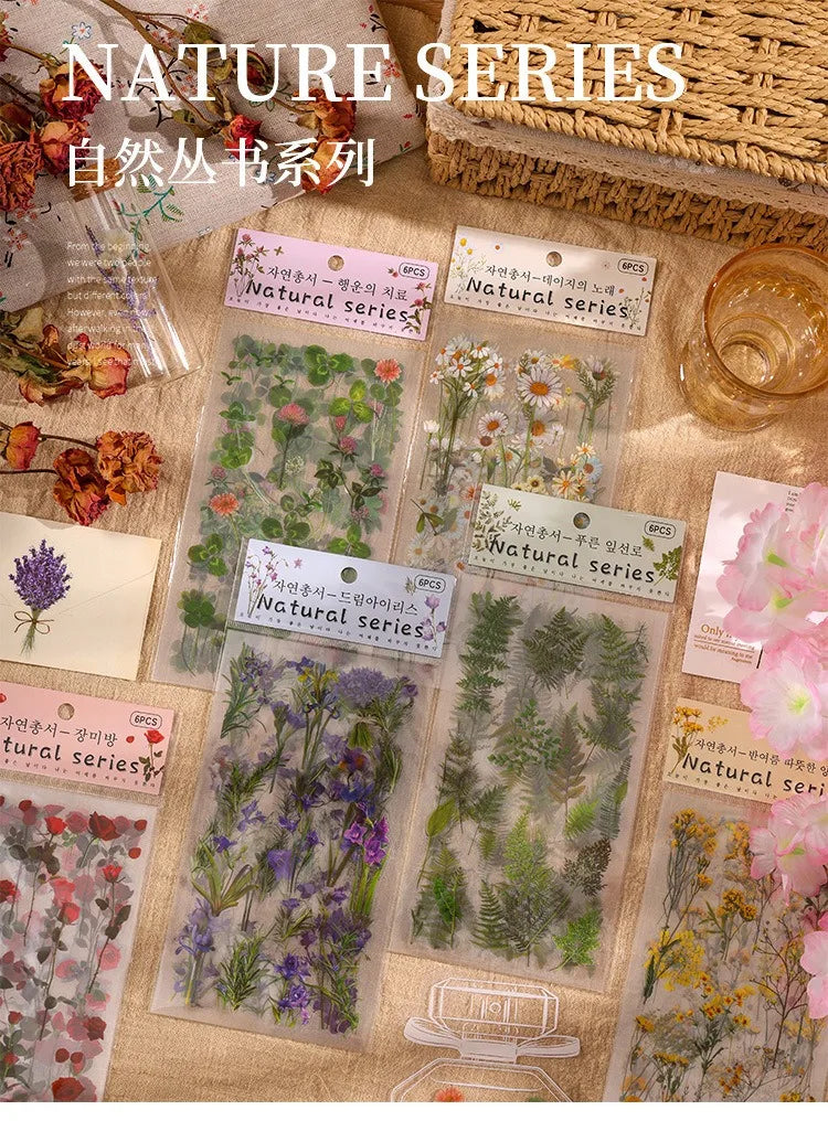 JIANQI 6pcs/pack Transparent PET Stickers Scrapbooking Materials DIY Junk Journal Collage Floral Leaves Plants Decor Stickers
