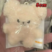 New KPOP Plush Keychain Korean Ide Pendant Toy Keychain Fan Collection Giftsol Plush Cartoon
