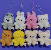 New KPOP Plush Keychain Korean Ide Pendant Toy Keychain Fan Collection Giftsol Plush Cartoon