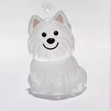 Creative Dog Hair Storage Keychain Transparent Dog\Cat Shape Memorial Pendant Handmade DIY Pet Souvenirs for Pet Lovers Gift