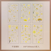 JIANQI 6pcs/pack Transparent PET Stickers Scrapbooking Materials DIY Junk Journal Collage Floral Leaves Plants Decor Stickers