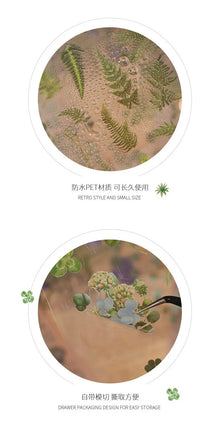 JIANQI 6pcs/pack Transparent PET Stickers Scrapbooking Materials DIY Junk Journal Collage Floral Leaves Plants Decor Stickers