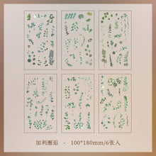 JIANQI 6pcs/pack Transparent PET Stickers Scrapbooking Materials DIY Junk Journal Collage Floral Leaves Plants Decor Stickers