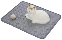 Summer Pet Ice Pad Cool Sleeping Mat Breathable Ice Silk Washable Pet Bed Durable Dog Cat Cushion Pet Supplies for Home Outdoor